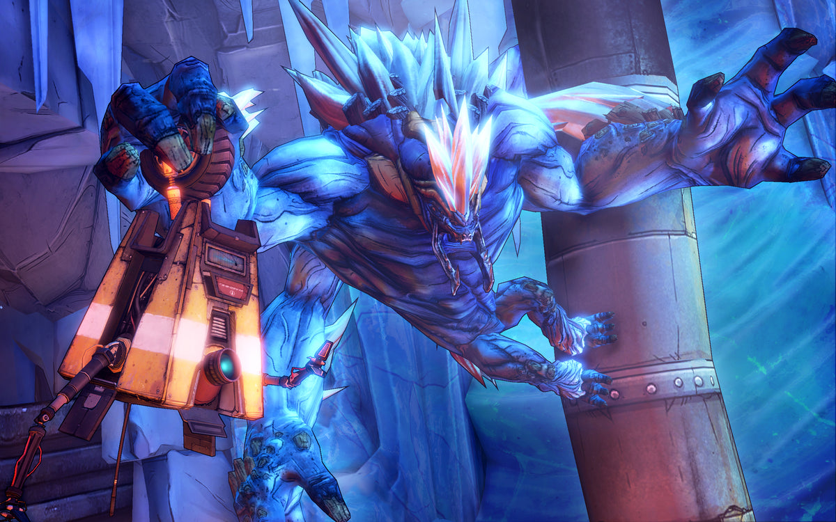 Borderlands 2 PC Steam Key