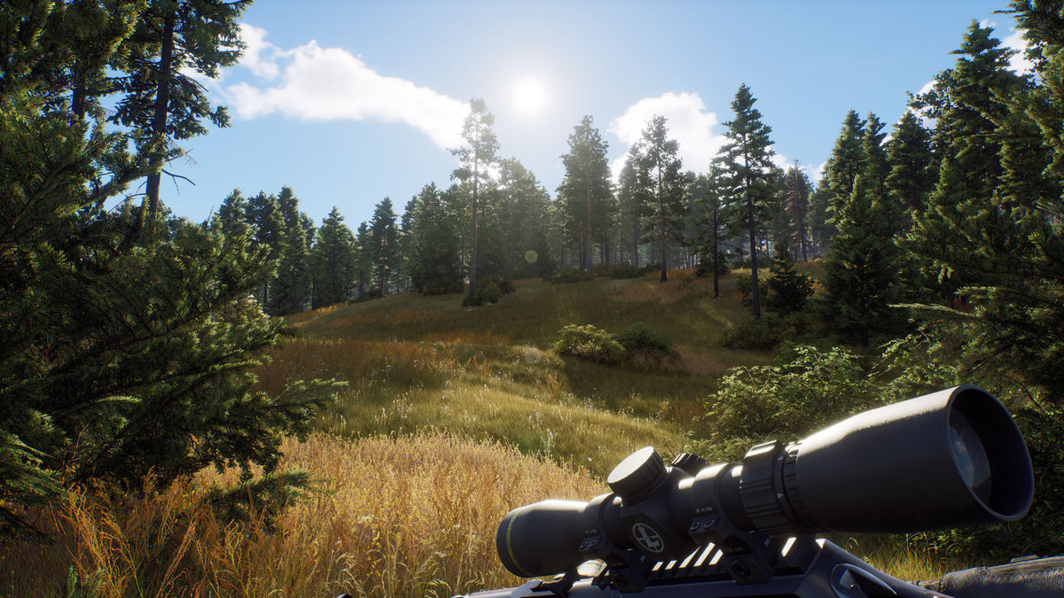 Way of the Hunter PC Steam Key