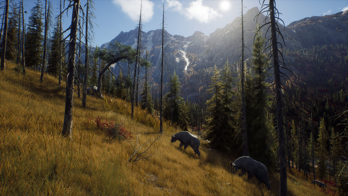 Way of the Hunter PC Steam Key