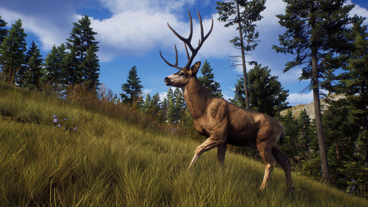 Way of the Hunter PC Steam Key
