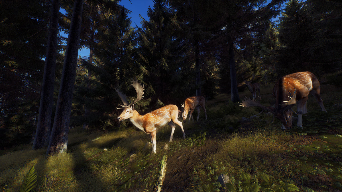 Way of the Hunter PC Steam Key