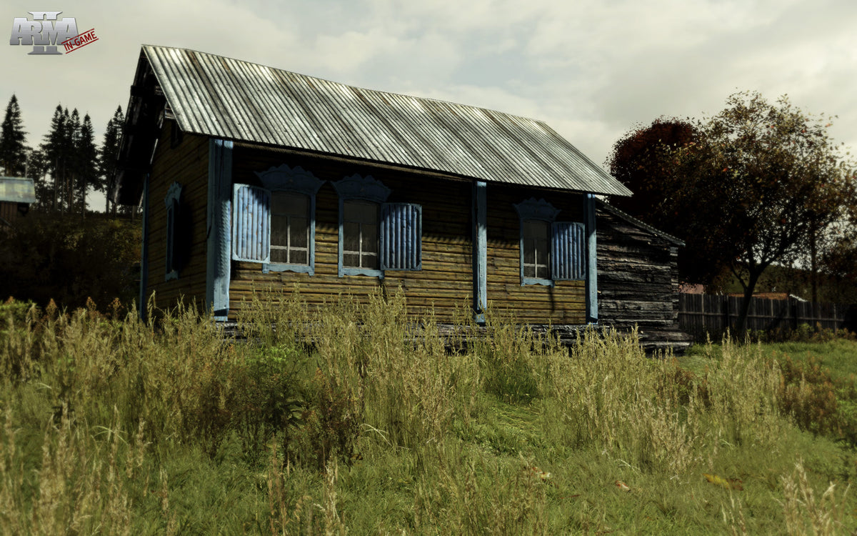 Arma 2 PC Steam Key