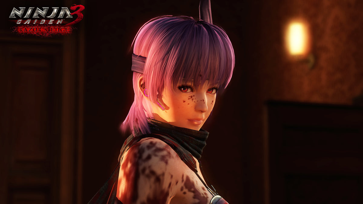 NINJA GAIDEN: Master Collection PC Steam Key