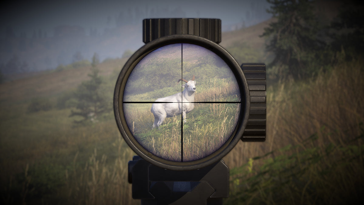 Way of the Hunter 2 PC Steam Key