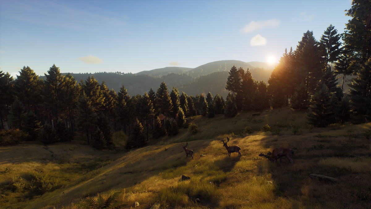 Way of the Hunter PC Steam Key