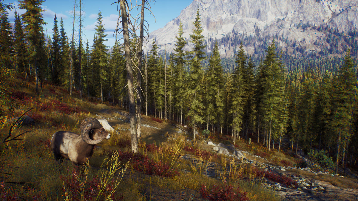Way of the Hunter PC Steam Key