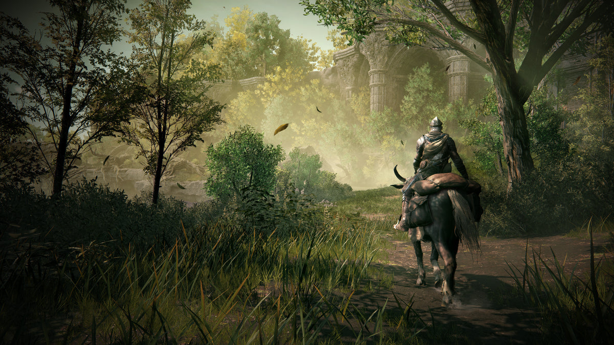 ELDEN RING Shadow of the Erdtree PC Steam Key