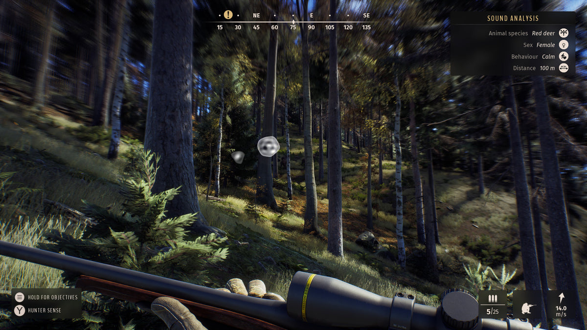 Way of the Hunter PC Steam Key