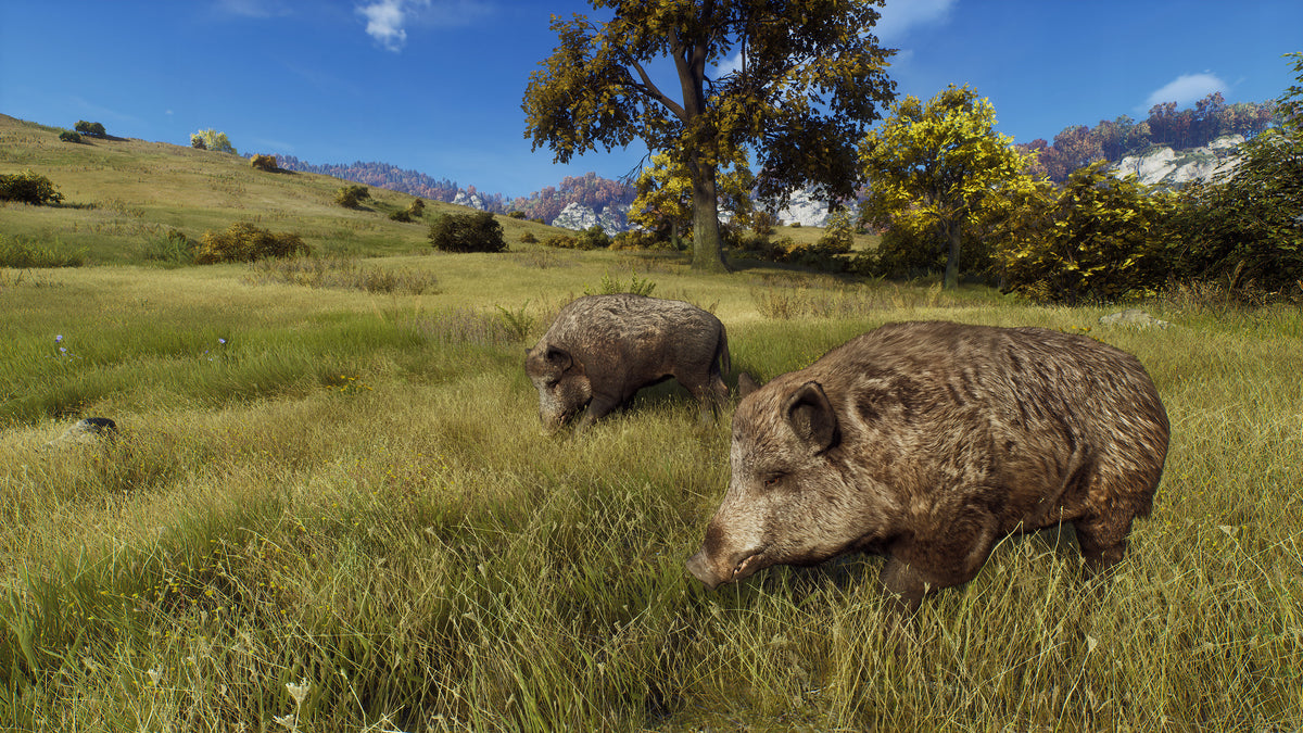 Way of the Hunter PC Steam Key