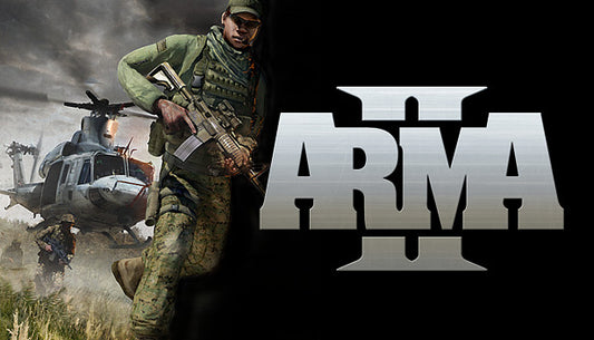 Official cover art for the tactical shooter game Arma 2 featuring realistic military combat and simulation gameplay elements.