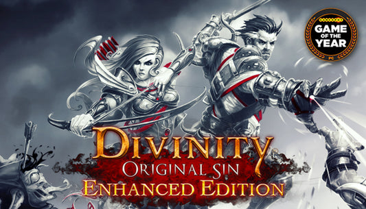 Divinity: Original Sin - Enhanced Edition PC GOG Galaxy Key