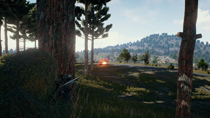 PlayerUnknown's Battlegrounds PC Steam Key