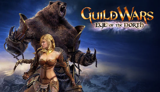 Guild Wars: Eye of the North PC Steam Key