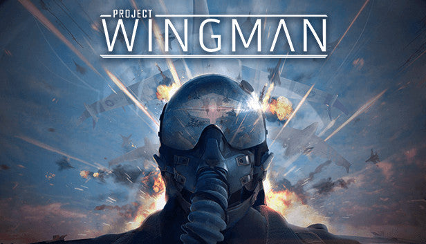 Official cover art for Project Wingman showing a fighter jet soaring through a vibrant, orange-tinted sky.