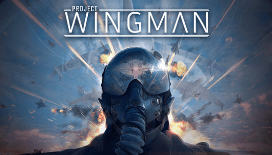 Official cover art for Project Wingman showing a fighter jet soaring through a vibrant, orange-tinted sky.