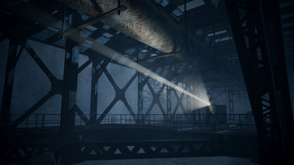 Alan Wake Remastered PS5 PlayStation Store Key