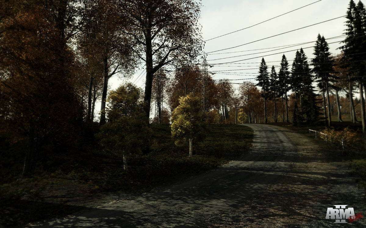 Arma 2 PC Steam Key