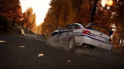 DiRT 4 PC Steam Key