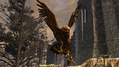 The Lord of the Rings: War in the North PC Steam Key