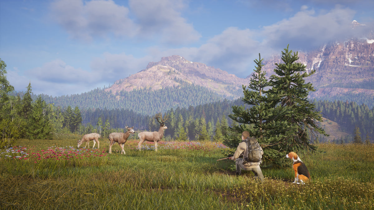 Way of the Hunter 2 PC Steam Key