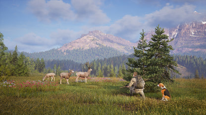 Way of the Hunter 2 PC Steam Key