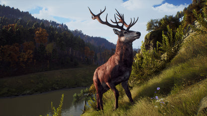 Way of the Hunter PC Steam Key
