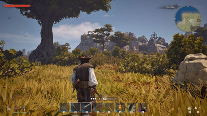 Windrose PC Steam Key