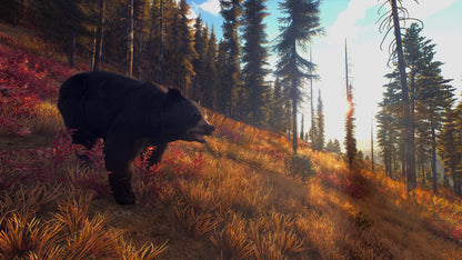 Way of the Hunter PC Steam Key