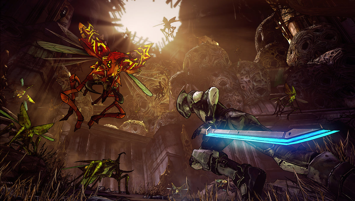 Borderlands 2 PC Steam Key