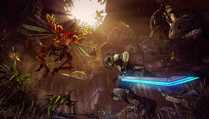 Borderlands 2 PC Steam Key