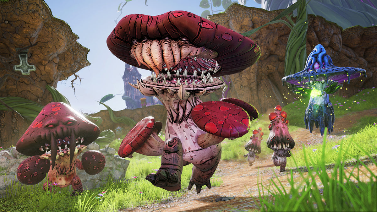 Tiny Tina's Wonderlands PC Steam Key