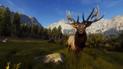 Way of the Hunter PC Steam Key