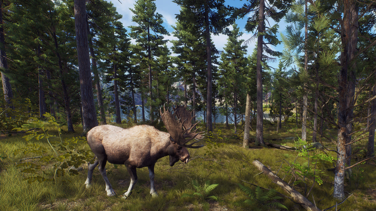 Way of the Hunter PC Steam Key