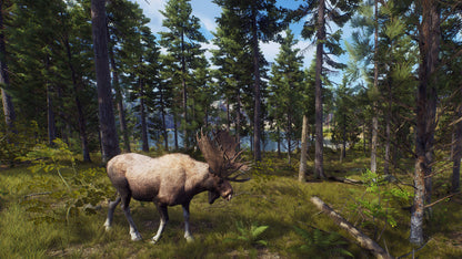 Way of the Hunter PC Steam Key