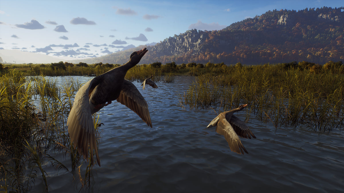 Way of the Hunter PC Steam Key