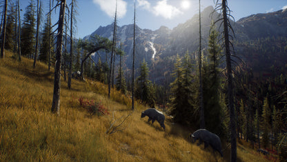 Way of the Hunter PC Steam Key