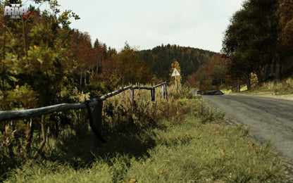 Arma 2 PC Steam Key