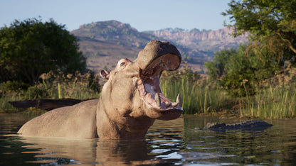 Way of the Hunter 2 PC Steam Key