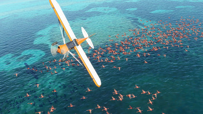 Flight Simulator (2020) Standard 40th Anniversary Edition PC Steam Key