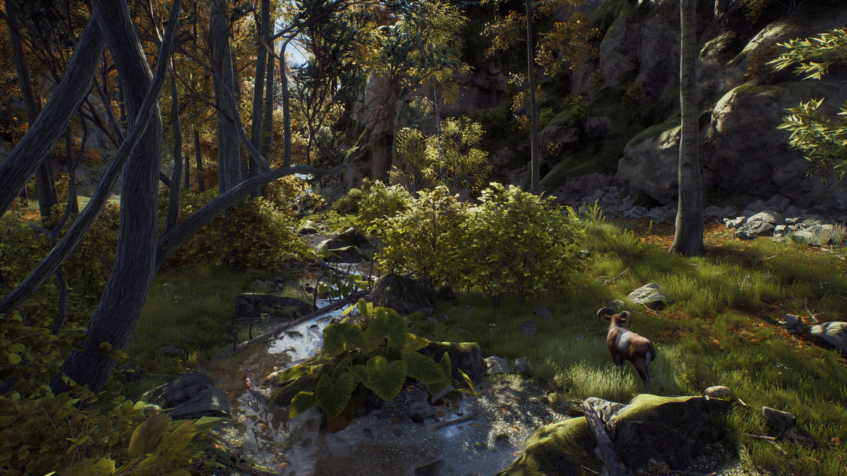 Way of the Hunter PC Steam Key