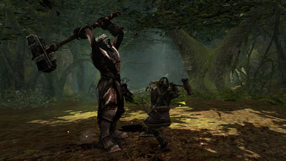 The Lord of the Rings: War in the North PC Steam Key