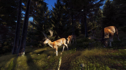 Way of the Hunter PC Steam Key