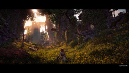 Horizon Zero Dawn Complete Edition PC Steam Key