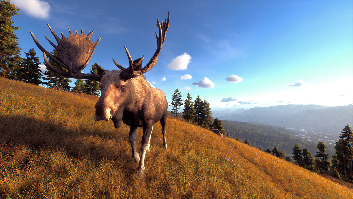 Way of the Hunter PC Steam Key