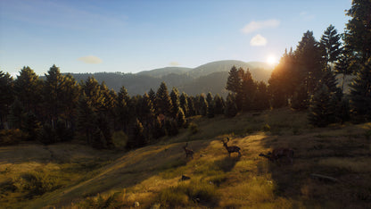 Way of the Hunter PC Steam Key
