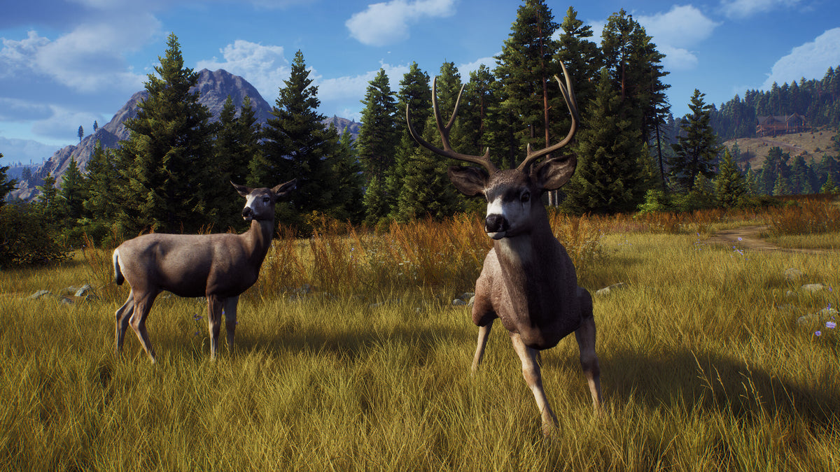 Way of the Hunter PC Steam Key