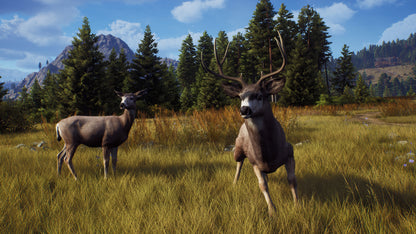 Way of the Hunter PC Steam Key