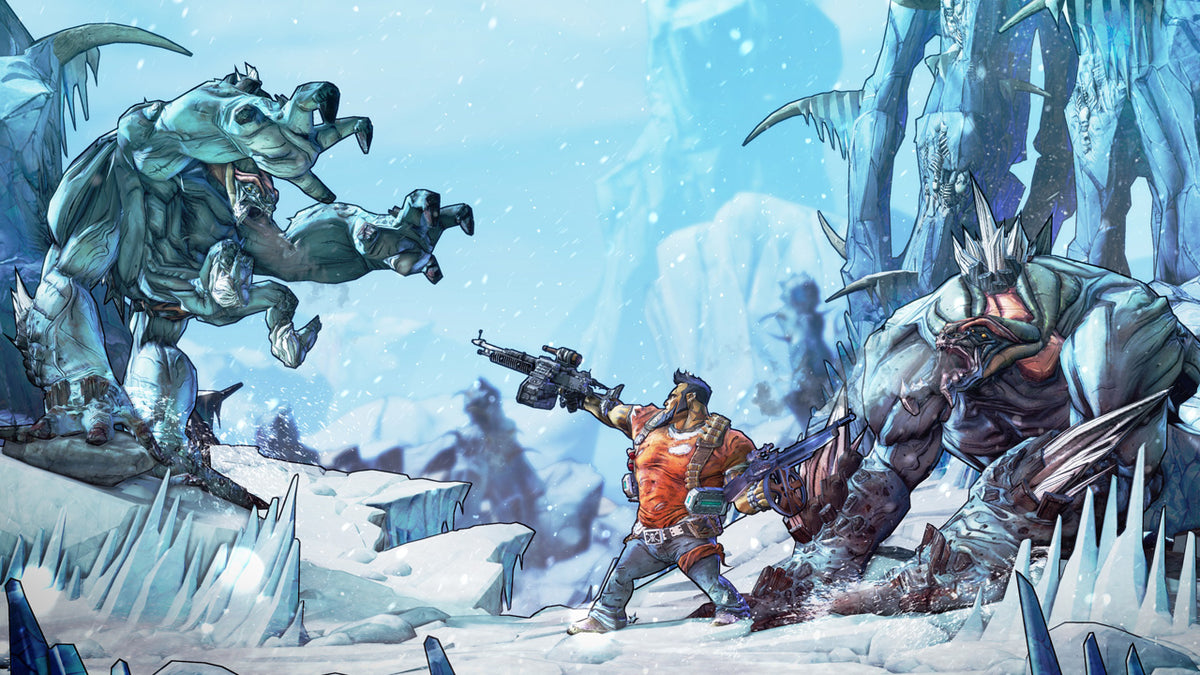 Borderlands 2 PC Steam Key