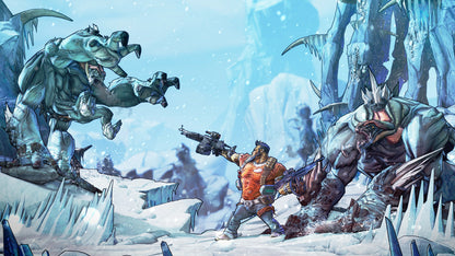Borderlands 2 PC Steam Key